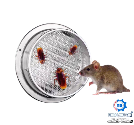 VENT COWL GẮN TƯỜNG INOX 304 – VÒNG CHE MƯA & LƯỚI CHẮN CÔN TRÙNG NGOÀI TRỜI